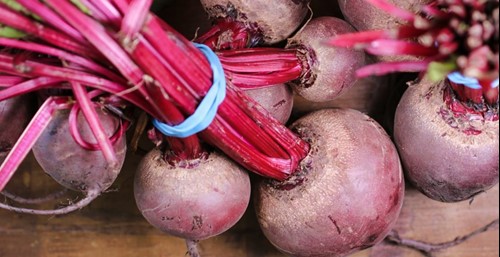 Bunches of fresh beets with red stalks tied in blue rubber bands on a wooden surface.
